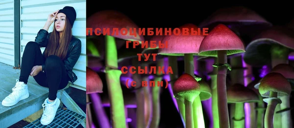 мескалин Богданович