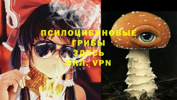 ПСИЛОЦИБИНОВЫЕ ГРИБЫ Вяземский