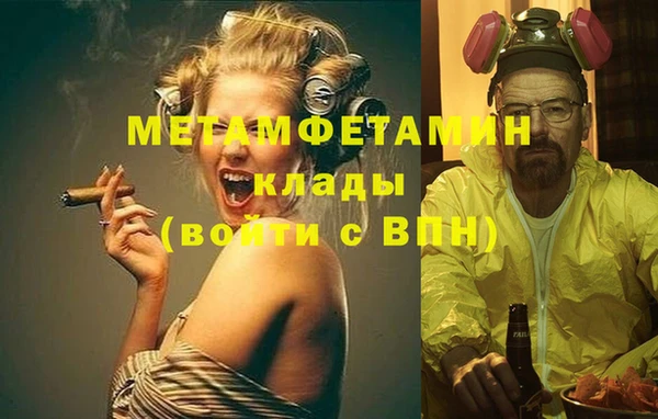 ПСИЛОЦИБИНОВЫЕ ГРИБЫ Вяземский