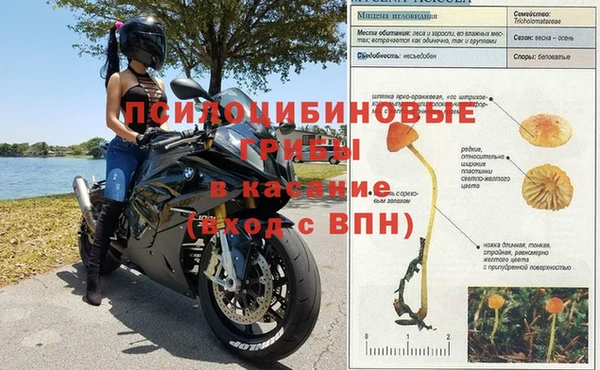 гидропоника Верхнеуральск