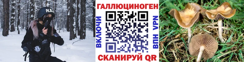 купить наркоту  нарко площадка Telegram  Псилоцибиновые грибы Magic Shrooms  Зверево 
